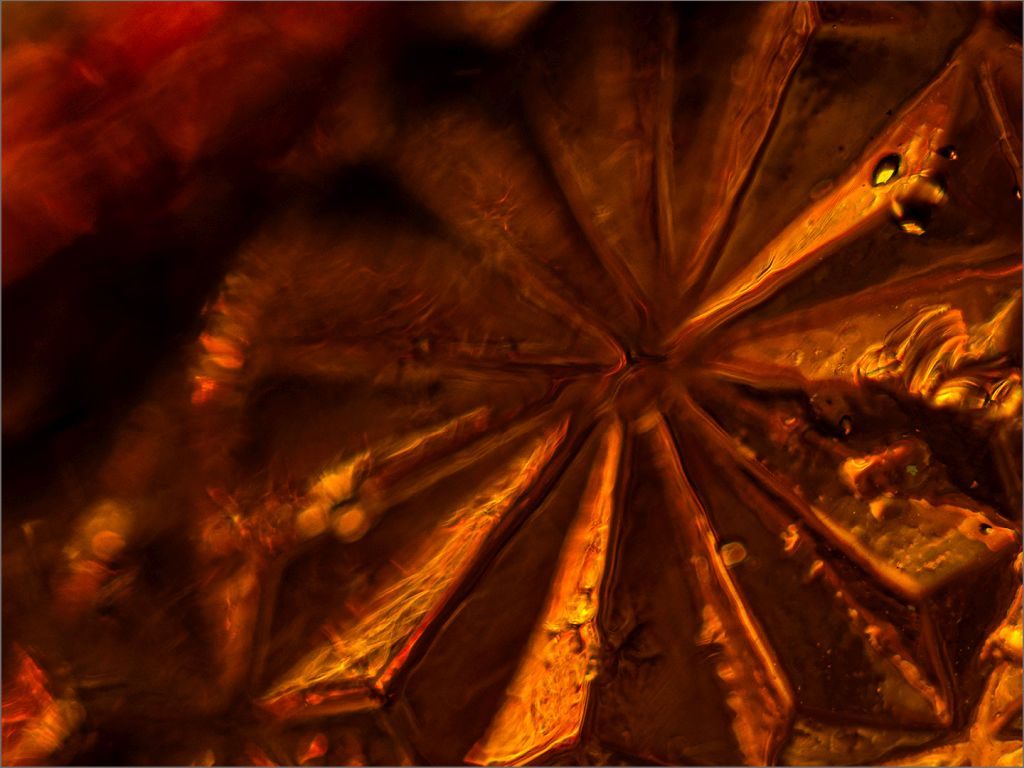 Best Intermediate Set Subject of the Month